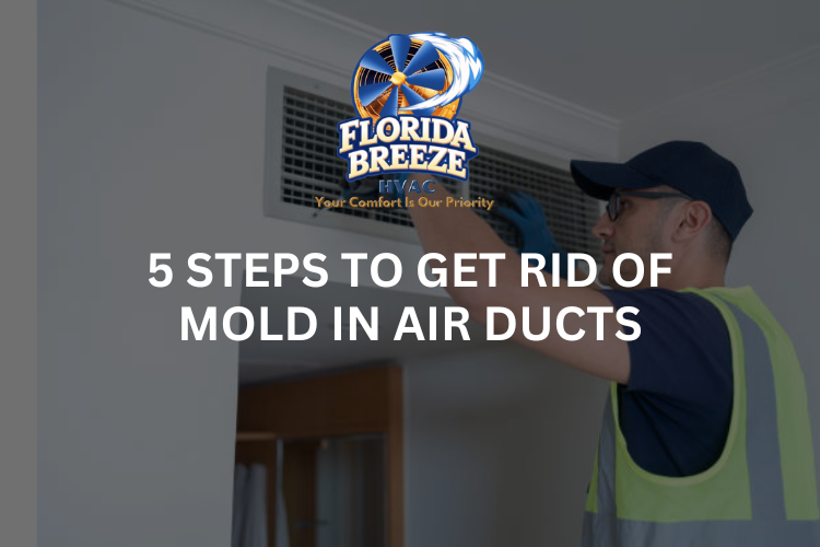 5 Steps to Get Rid of Mold in Air Ducts