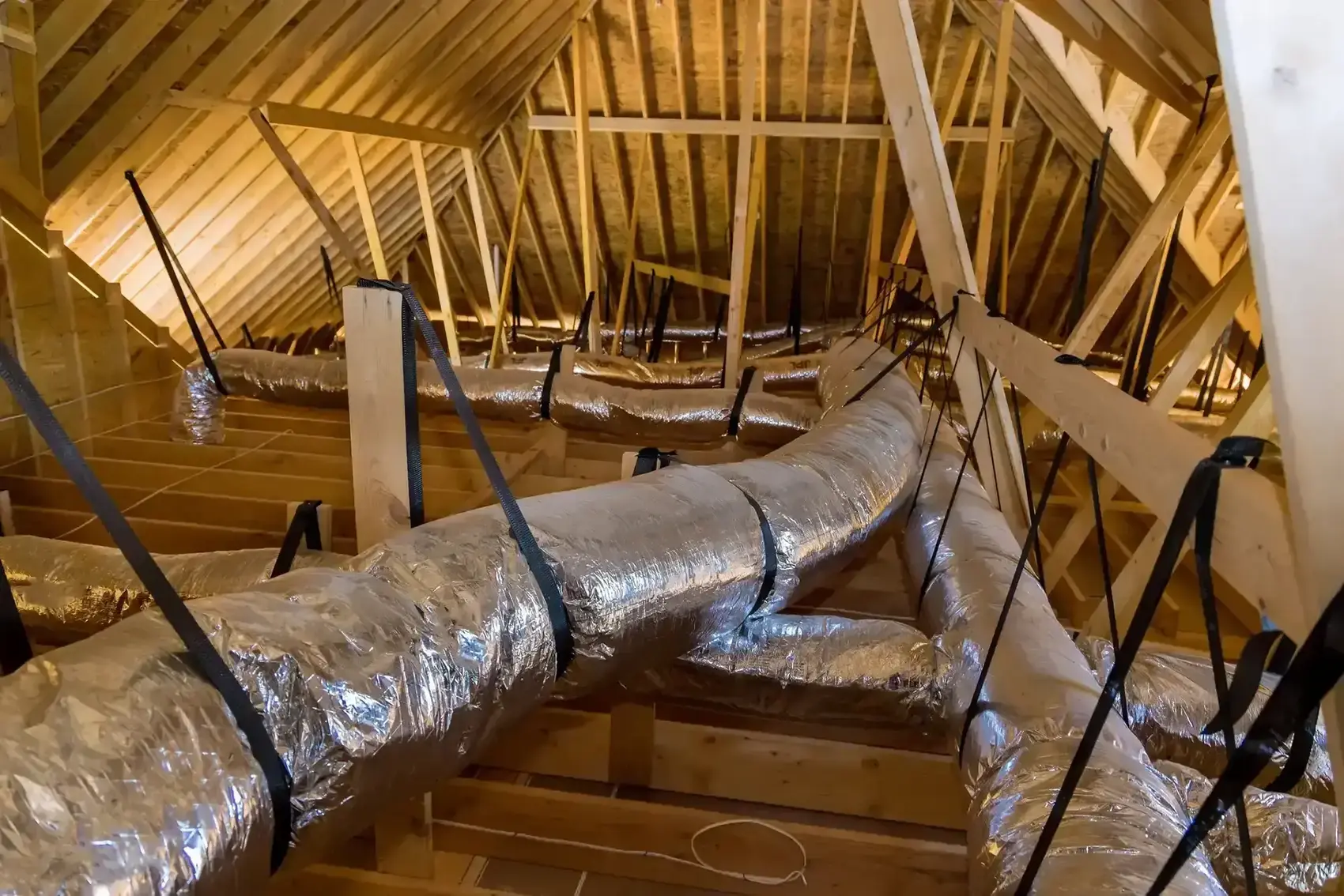 Moisture-damaged insulation promoting mold growth in Florida attic